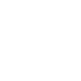 icon-web
